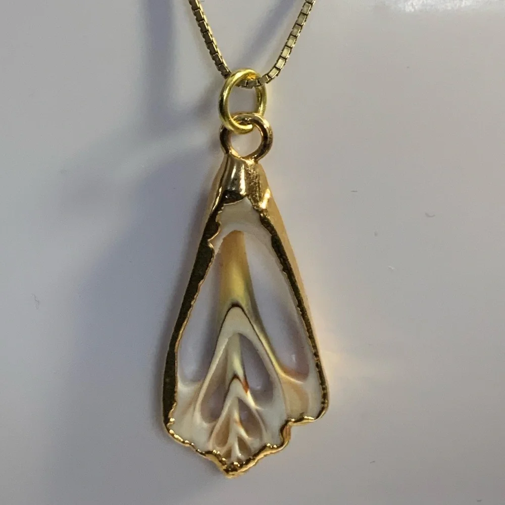 Shell Pendant - Picture 3 of 3